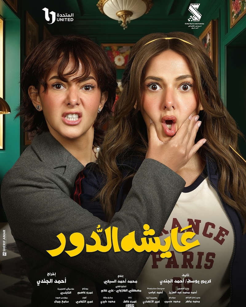 مسلسل عايشة الدور الحلقة 14 الرابعة عشر